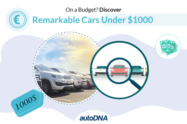 Discover remarkable cars under $1000
